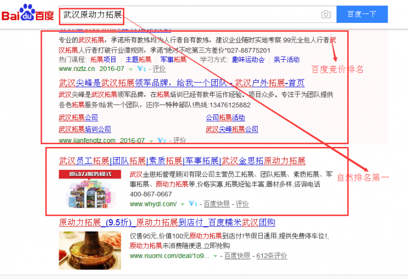 SEO優(yōu)化案例